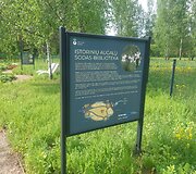 Istorinių augalų sodas