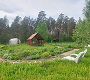 Istorinių augalų sodas