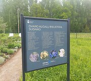 Istorinių augalų sodas