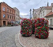 Cėsys