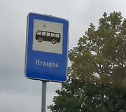 Kraujas