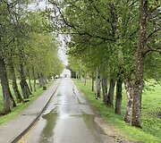 Antazavė, kelias į dvarą