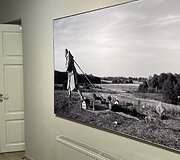 Antazavės dvaras, A.Gri&scaron;kevičiaus darbai