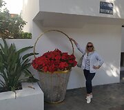 Žiema Kanaruose