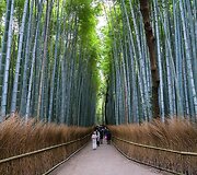 Japonija