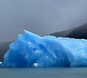 Pečiulių kelionė į Argentiną