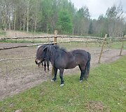 Ingridos ir Roberto Dabužinskų &bdquo;Mažųjų draugų&ldquo; ūkis