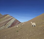 Peru