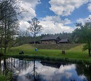 Senovinės bitininkystės muziejus