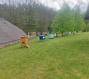 Senovinės bitininkystės muziejus