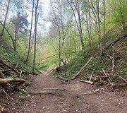 &bdquo;Raguvų dugnų&ldquo; pėsčiųjų takas, Karolini&scaron;kių kra&scaron;tovaizdžio draustinis
