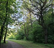 &bdquo;Upės slėnio&ldquo; pėsčiųjų ir dviračių takas, Karolini&scaron;kių kra&scaron;tovaizdžio draustinis
