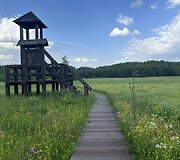 Ančios &scaron;iaurinės apyežerės pažintinis takas Veisiejų regioniame parke