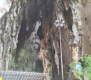 Batu urvai