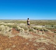Danieliaus Narausko kelionė Australijoje