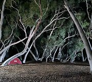 Danieliaus Narausko kelionė Australijoje