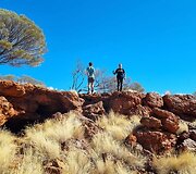 Danieliaus Narausko kelionė Australijoje