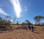 Danieliaus Narausko kelionė Australijoje