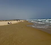Dėl nuodingų jūros &scaron;liužų i&scaron;tu&scaron;tėjo paplūdimiai