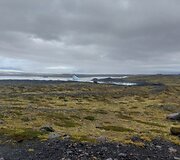 Islandija