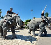 Tunisas