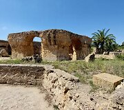 Tunisas