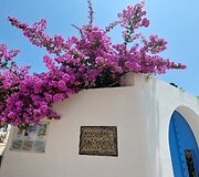 Tunisas