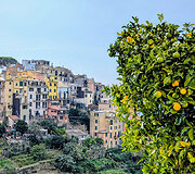 Cinque Terre regionas, Italija