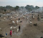 Mundari gentis, Pietų Sudanas