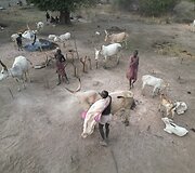 Mundari gentis, Pietų Sudanas