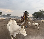 Mundari gentis, Pietų Sudanas