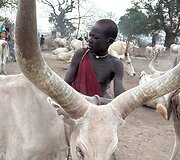 Mundari gentis, Pietų Sudanas