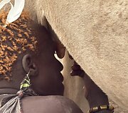 Mundari gentis, Pietų Sudanas
