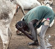 Mundari gentis, Pietų Sudanas