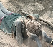 Mundari gentis, Pietų Sudanas