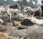 Mundari gentis, Pietų Sudanas
