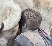 Mundari gentis, Pietų Sudanas