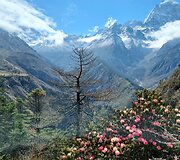 Stanislovo Vy&scaron;niausko kelionės į Everestą akimirkos