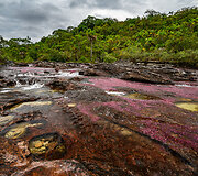 Vaivoryk&scaron;tės spalvų upė Kolumbijoje