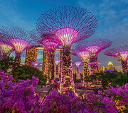 Singapūro sodai (Gardens by the Bay) 