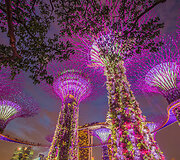 Singapūro sodai (Gardens by the Bay) 
