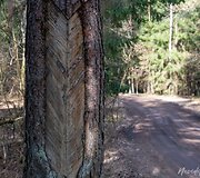 Kairiojo Neries kranto turizmo trasa