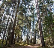Kairiojo Neries kranto turizmo trasa