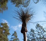 Kairiojo Neries kranto turizmo trasa