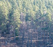 Kairiojo Neries kranto turizmo trasa