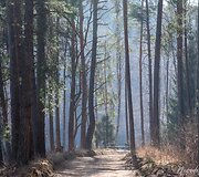 Kairiojo Neries kranto turizmo trasa