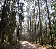 Kairiojo Neries kranto turizmo trasa
