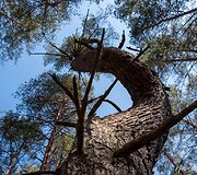 Kairiojo Neries kranto turizmo trasa