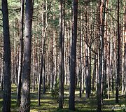 Kairiojo Neries kranto turizmo trasa