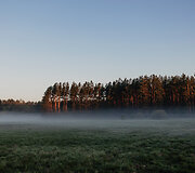 &bdquo;Varėna Treehouse&ldquo;